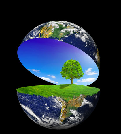 Significance of Environmental Ethics
